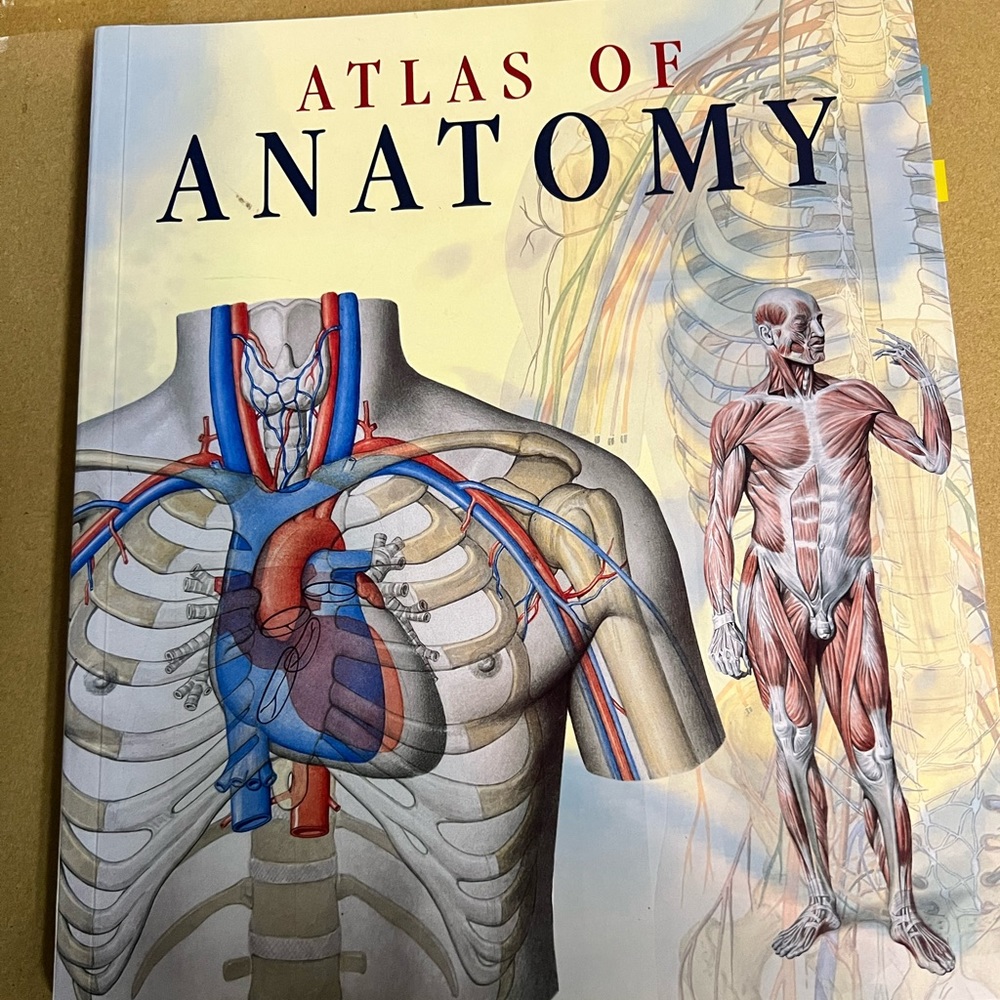 Atlas of Anatomy Textbook